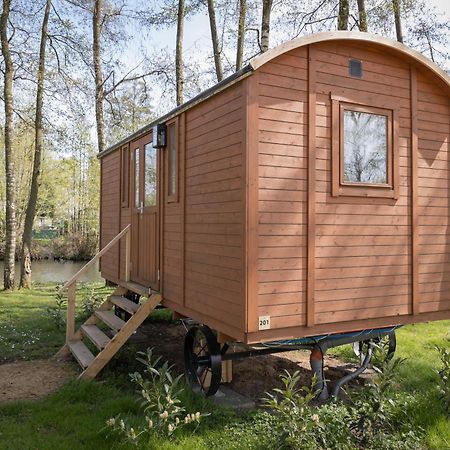 מלון Kinrooi Glamping - 25 Min Roermond, Maasmechelen & Maastricht מראה חיצוני תמונה